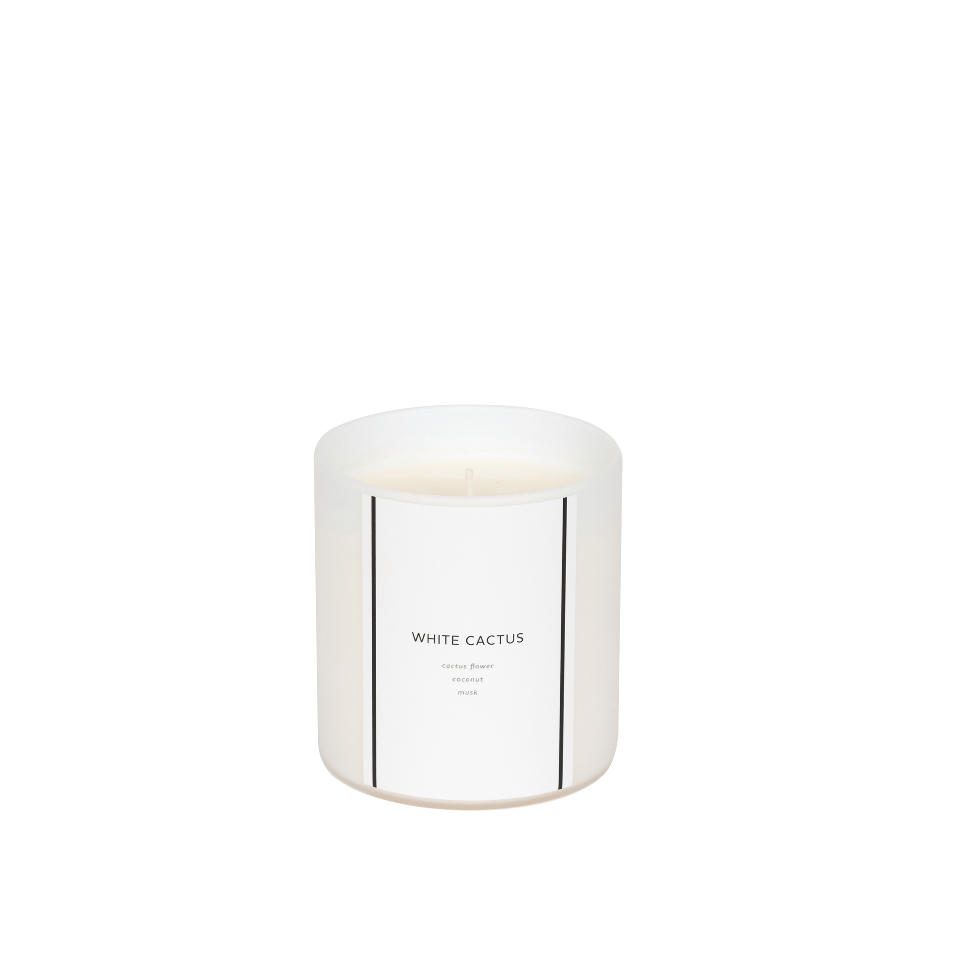White Cactus | 10 oz