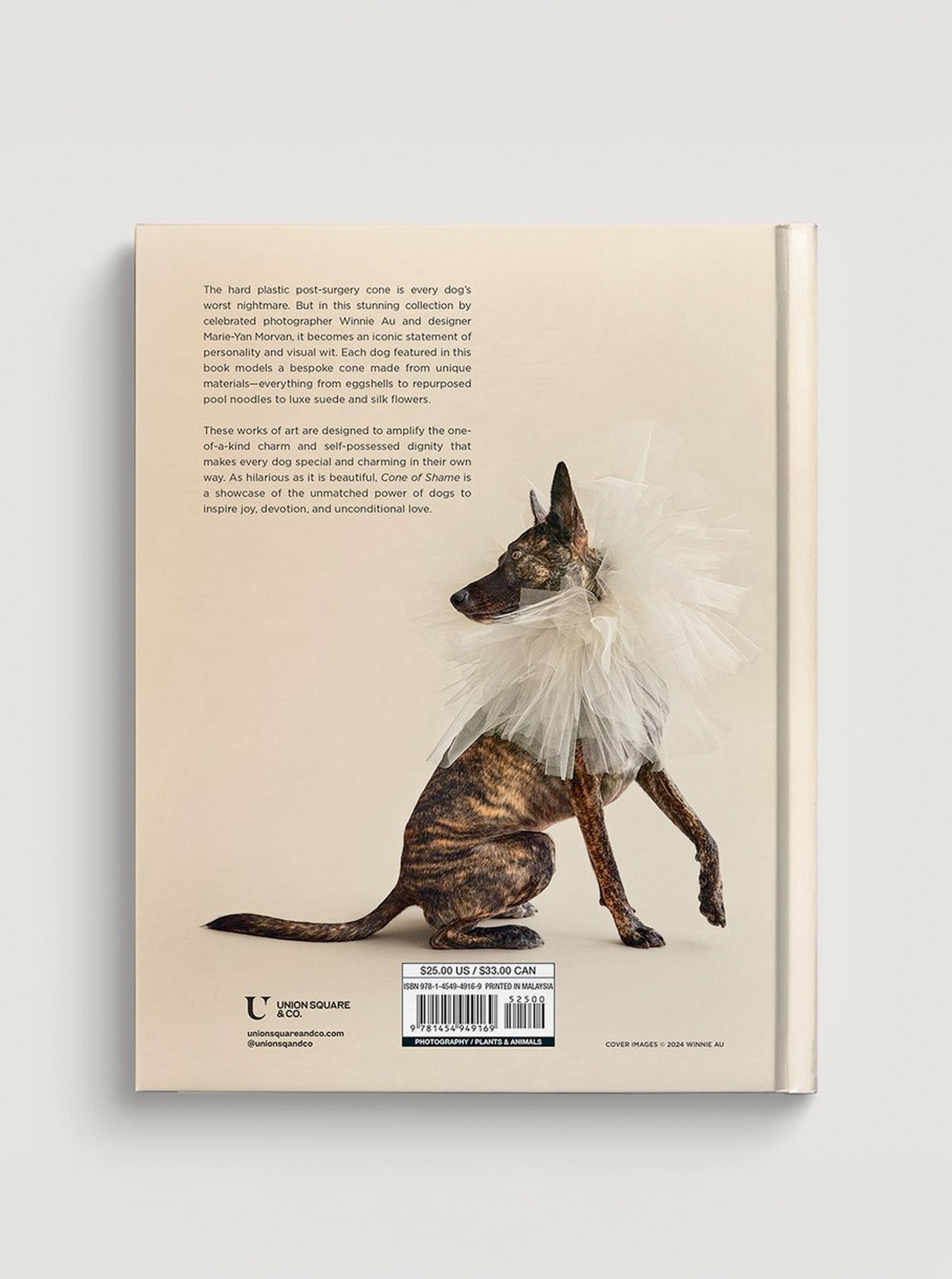 CONE OF SHAME by Winnie Au