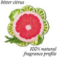 "Bébé Butter" Lip Balm