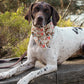 ADVENTURE BANDANA
