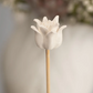 African Flower Diffuser Sticks