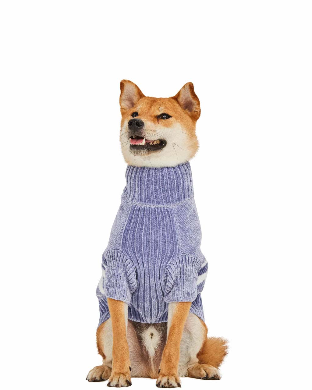 STRIPED SWEATER by Blueberry Pet