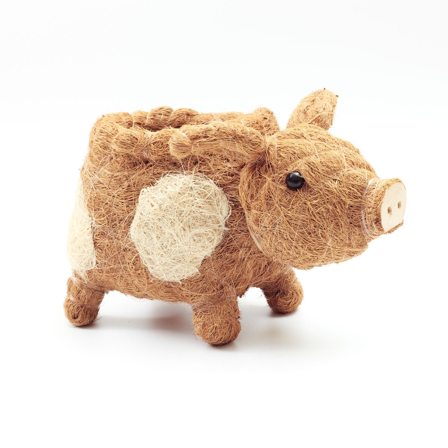 Baby Pig Succulent Pot - Handmade Planters | LIKHÂ