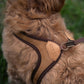 EASY HARNESS by Charlie's Backyard