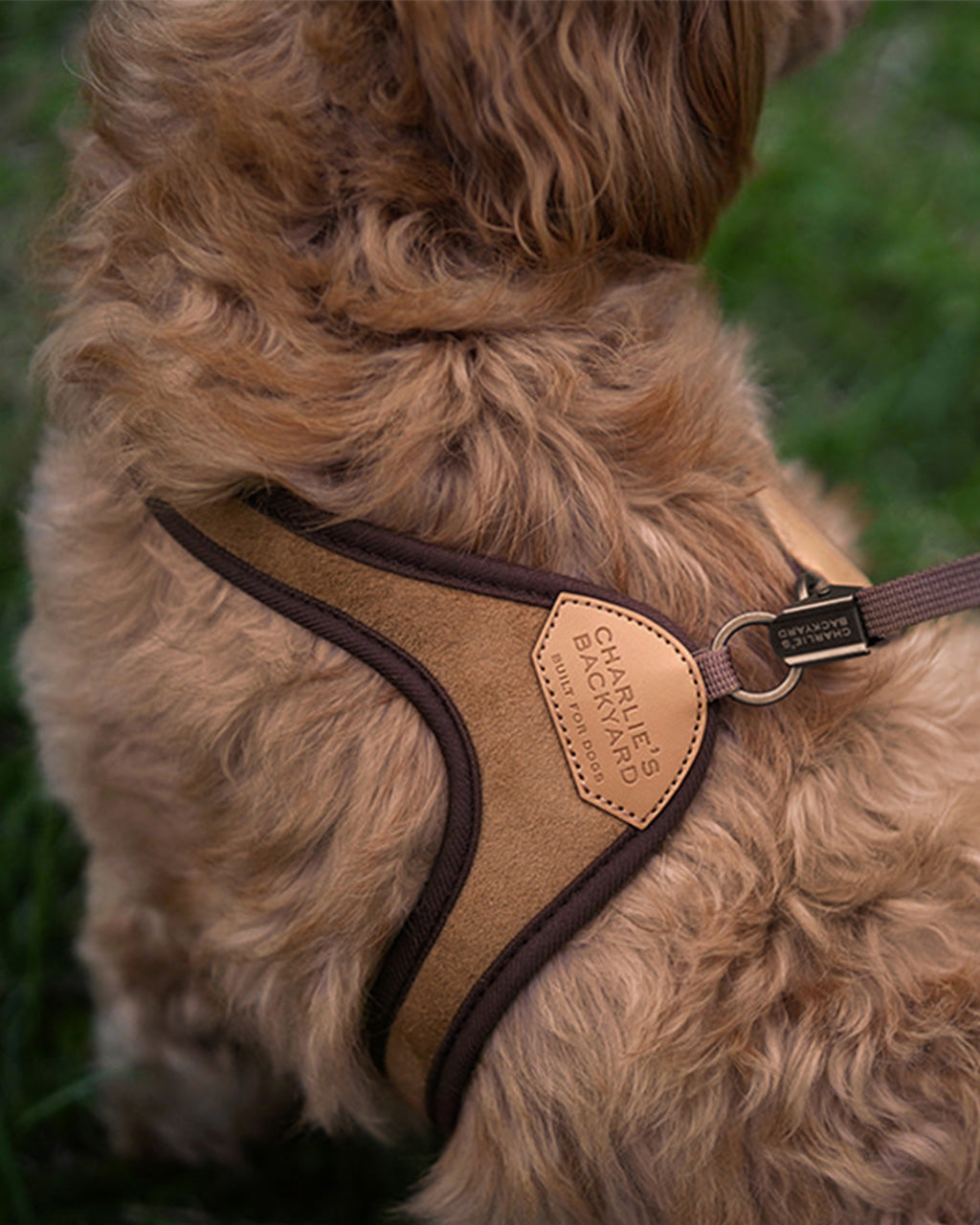 EASY HARNESS by Charlie's Backyard