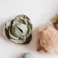 CABBAGE POP ENRICHMENT TOY