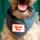ADVENTURE BADGE by Scouts Honour - Good Boy