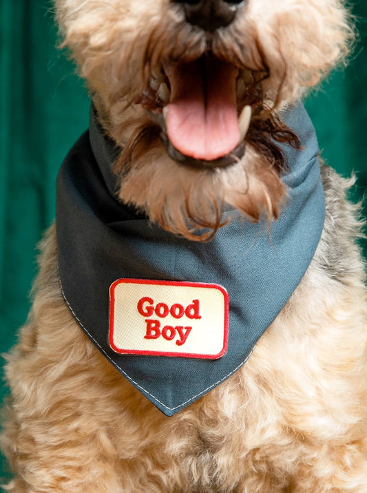 ADVENTURE BADGE by Scouts Honour - Good Boy