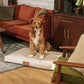 Ecru | Modern Dog Bed or Bed Cover