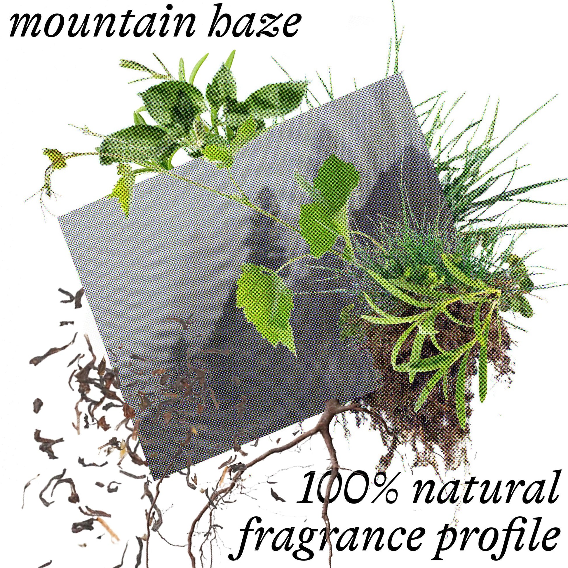 Mountain Haze Bath Oil