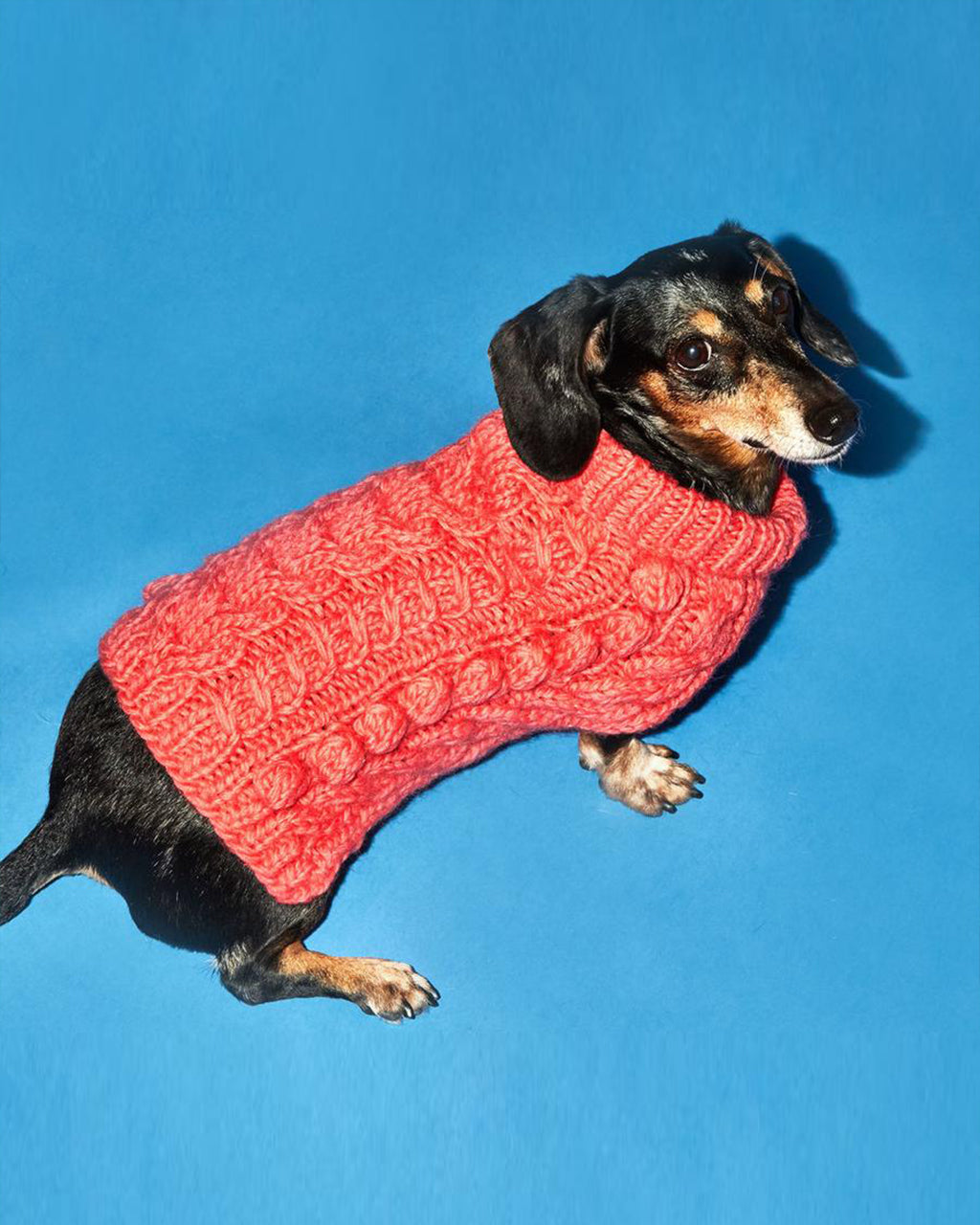 TURTLENECK SWEATER by Ware of the Dog