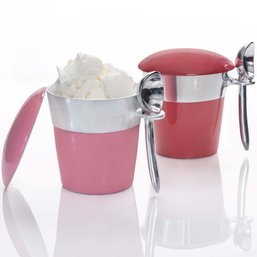 Pint Ice Cream Server Set - In Stock