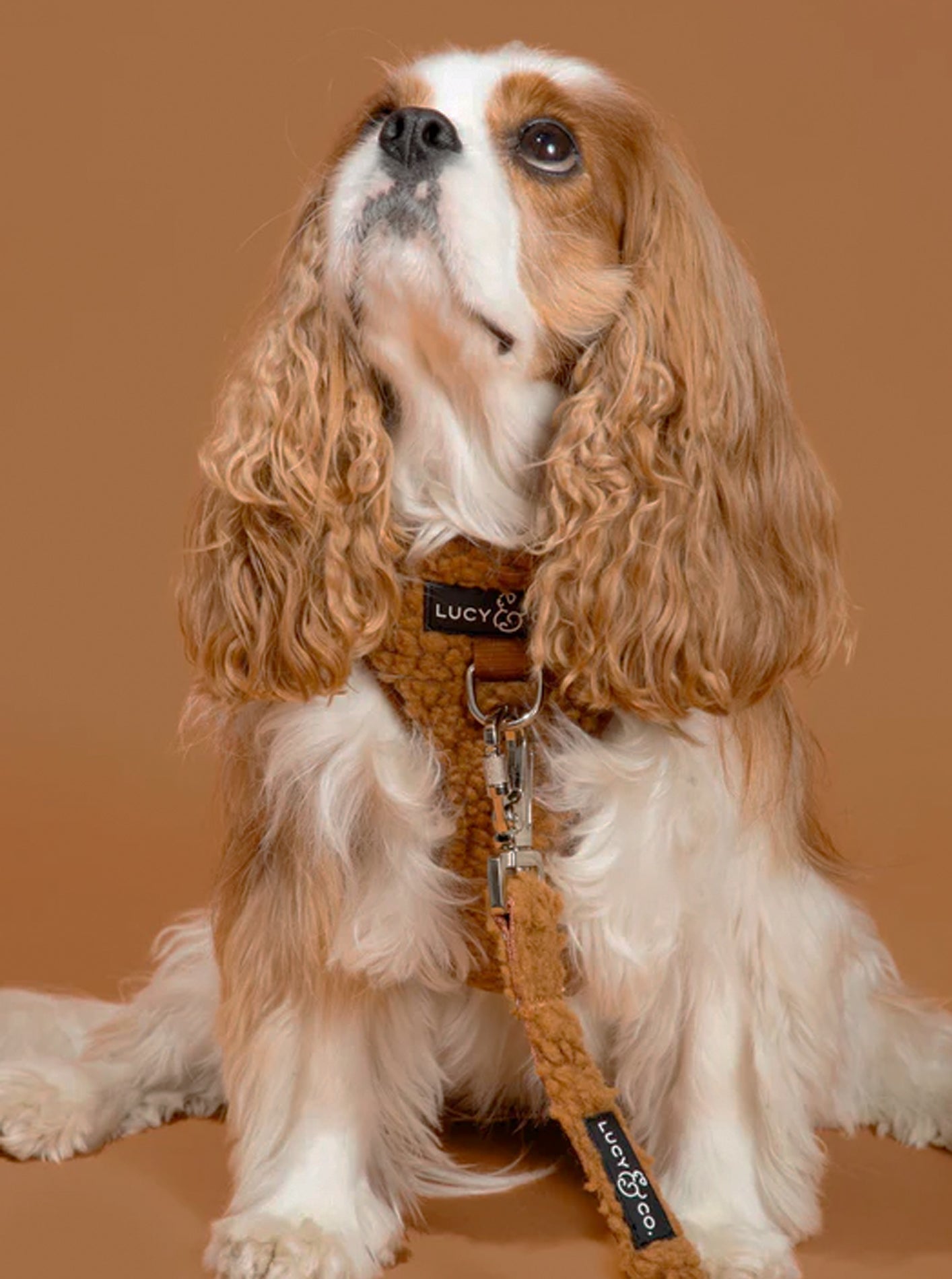 NO-PULL HARNESS by Lucy & Co