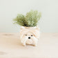 Westie Planter