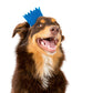 BRIGHT PARTY CROWNS