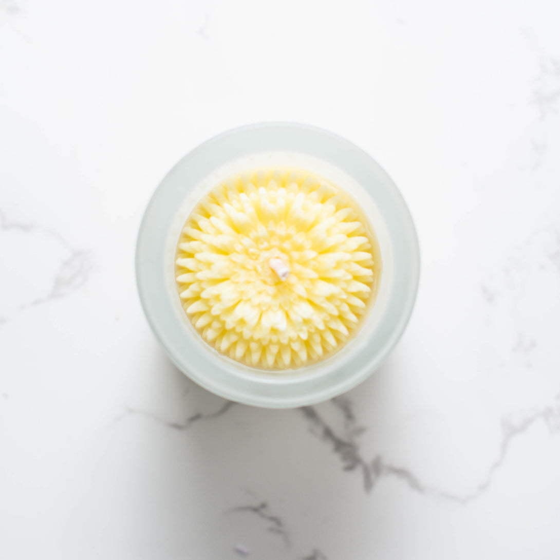 Brown Box Sale! Dandelion Flower Candle