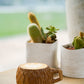 Small Size Teak Wood Cup, Mug, Glass, Wood, Wooden, Kuksa, Camping Gear