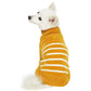 STRIPED SWEATER by Blueberry Pet