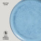 Dessert Plate Set of 6