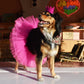 BRIGHT PARTY CROWNS