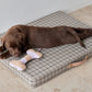 Ashi Dog Toy Small - Lavender/Amber