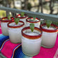 Set of 6 Tumbler Glasses with Red Rims