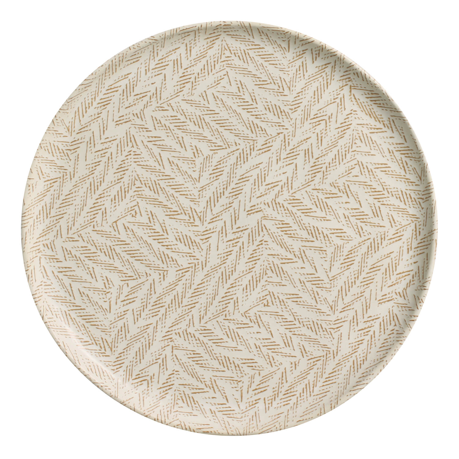 Dinner Plate Set of 6