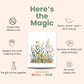 Cactus All-In-One Watercolor Kit