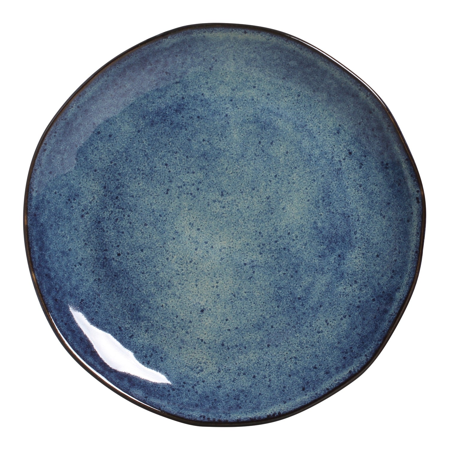 Dinner Plate Set of 6