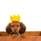 BRIGHT PARTY CROWNS