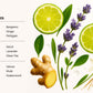 BERGAMOT - Perfume Mist Hair & Body  - 3.4 floz