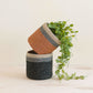 Coral Tabletop Mini Basket