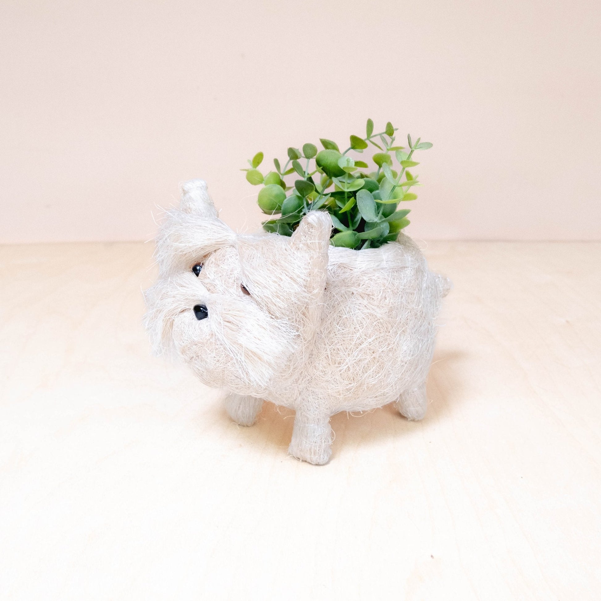 Baby Westie Planter