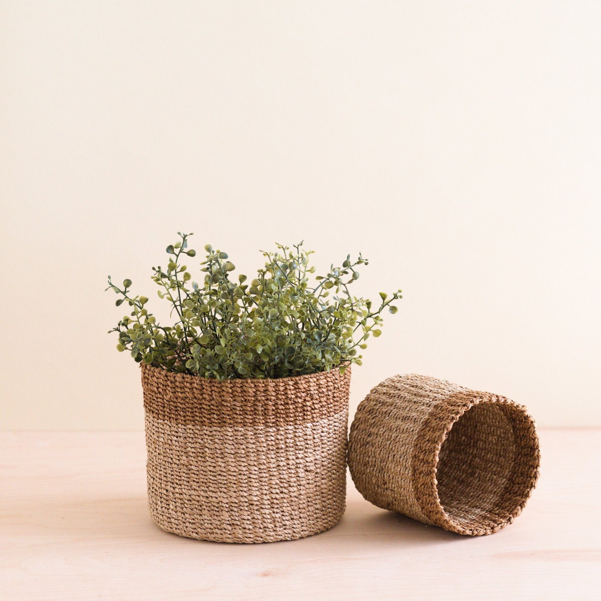 S/2 Natural + Brown Tabletop Bins