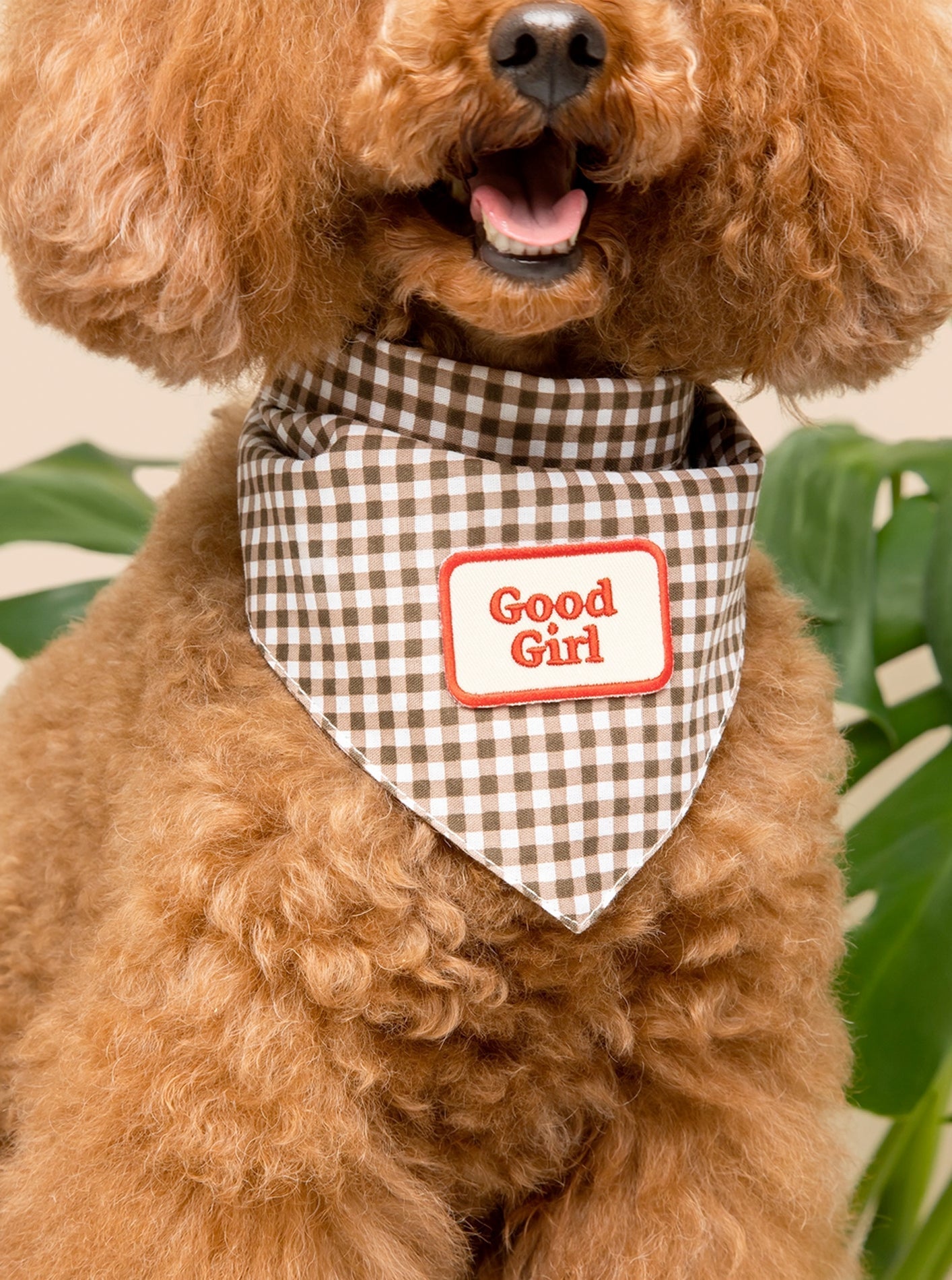 ADVENTURE BADGE by Scouts Honour - Good Girl