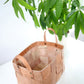 Abundance Basket