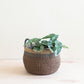 Brown Tabletop Bulge Basket with Handle