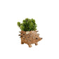 Baby Hedgehog Plant Pot - Handmade Planters | LIKHÂ