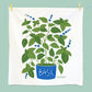 Fresh Herbs - Dish Towel Set of 3