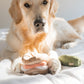 BAGEL + PICKLE - ENRICHMENT DOG TOY