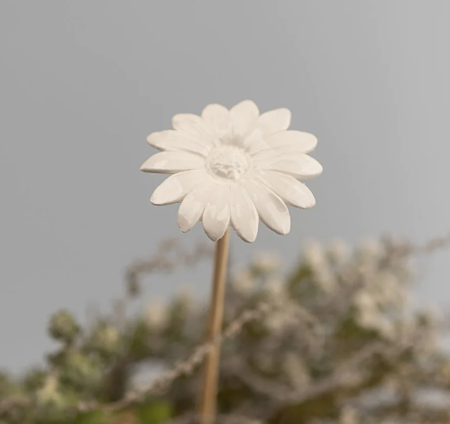 African Flower Diffuser Sticks