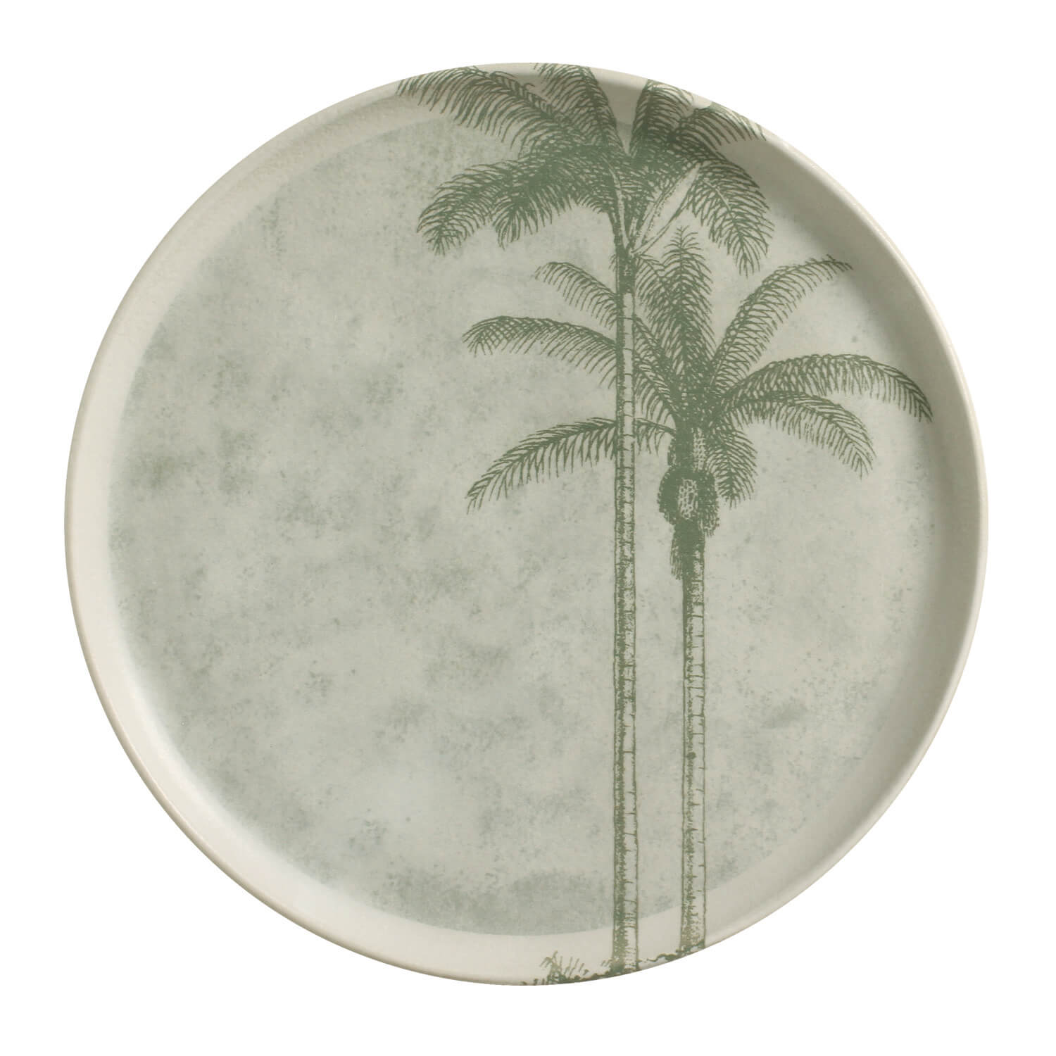 Dinner Plate Set of 6