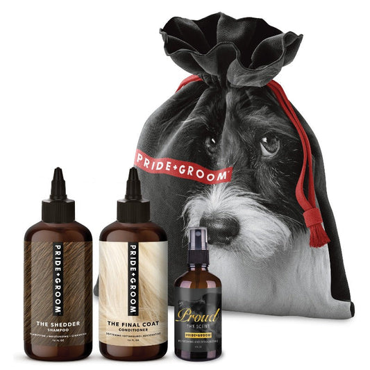 THE BIG DELUXE DOGGY BAG