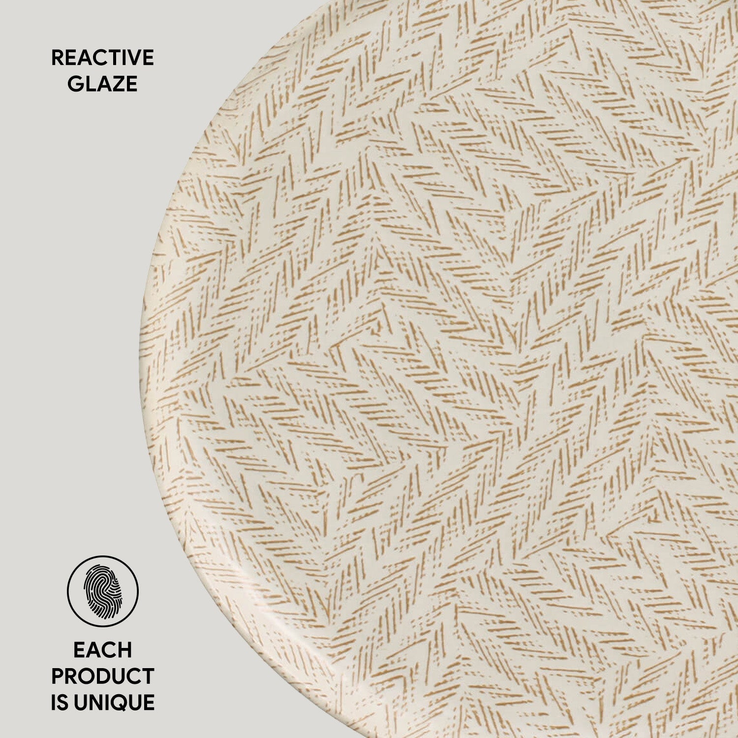 Dinner Plate Set of 6