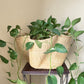 Handwoven Wave Basket - Natural
