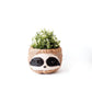 Large three-tone Sloth - Coco Coir Pots (6 inch) | LIKHÂ