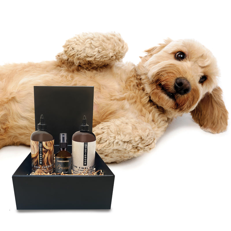 THE LUXE GIFT SET