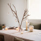 Bon Ornaments, Set of 7