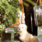 OUT-OF-OFFICE PET CARRIER by Roverlund
