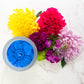 Anemone Flower Candle